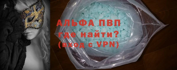 стаф Алексин