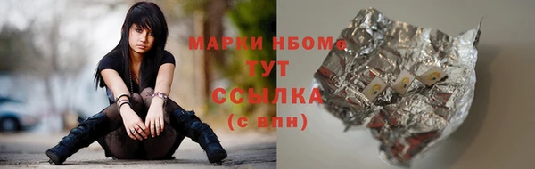 стаф Алексин